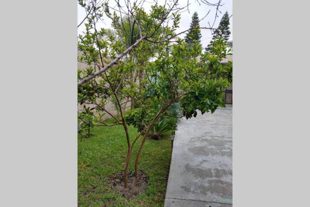 Departamento Las Palmas 罗萨里托 外观 照片